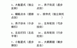 42式太极剑带口令全套